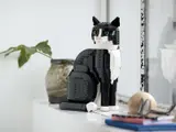 Tuxedo Cat on a shelf.