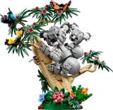 Wild Animals: Family of Koalas image 1