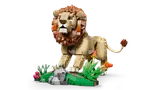 Wild Animals: Majestic Lion image 6