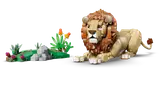 Wild Animals: Majestic Lion image 9