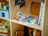 LEGO walrus display on a wooden shelf.