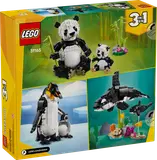 Wild Animals: Panda Family image 10
