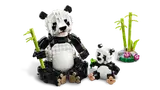 Wild Animals: Panda Family image 3