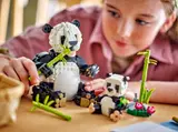 Wild Animals: Panda Family image 6