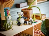 Wild Animals: Panda Family image 7