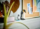 Wild Animals: Panda Family image 9