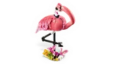 Wild Animals: Pink Flamingo image 4