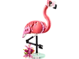Wild Animals: Pink Flamingo image 1