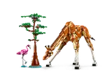 Wild Safari Animals image 3