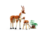 Wild Safari Animals image 6