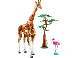 Wild Safari Animals image 1